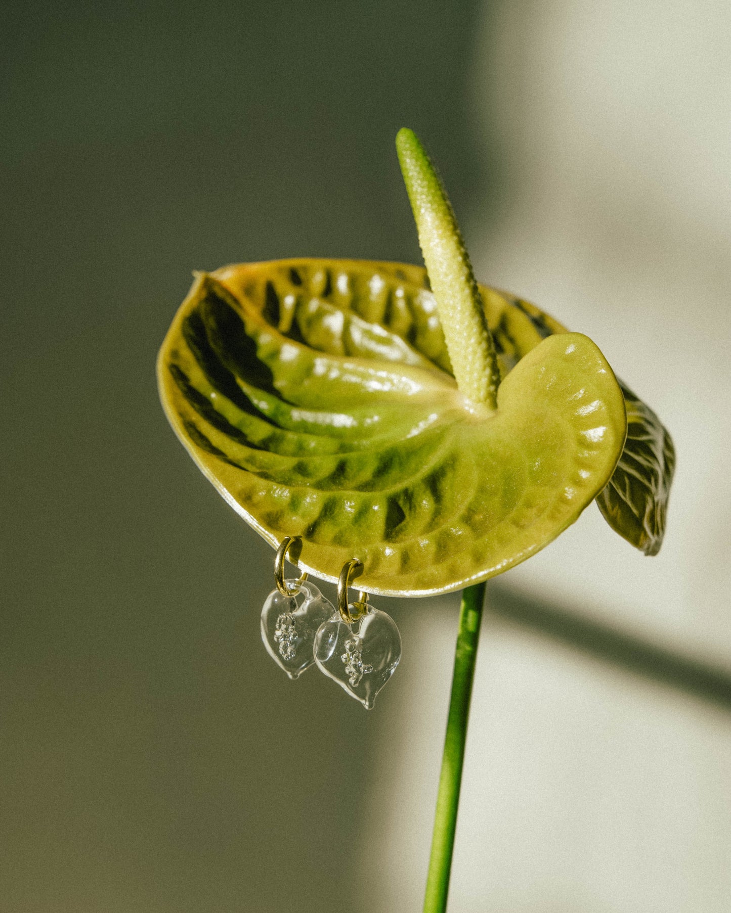 Anthurium Earrings